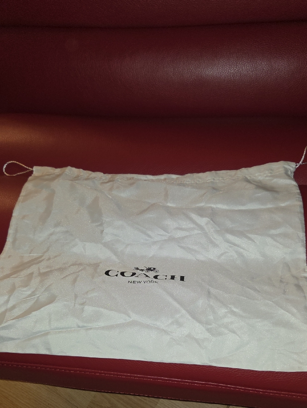 Coach White Drawstring Logo Dust Bag